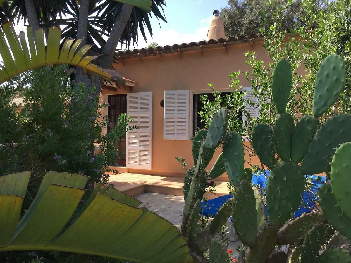Cas Quinto Βίλα Cala Ratjada  Cala Ratjada (Mallorca)